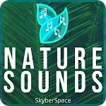 Nature Sounds Meditation Relax icon