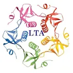 Let's talk Academy icon
