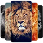 Lion Wallpapers HD icon