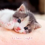 Feline Sight Theme icon