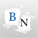 Bidnapper icon