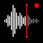 Voice Recorder & Voice Memos