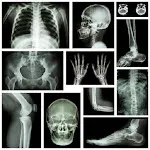 X-RAY Interpretation - cases icon