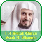 Saad Al Ghamidi 114 SurahQuran icon