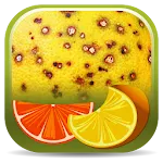 Citrus Diseases Key icon