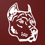 CarDog CRM icon