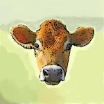 Bulls & Cows icon