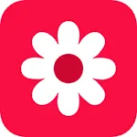 Gallery icon