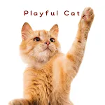 Cute wallpaper-Playful Cat- icon