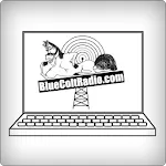 Blue Colt Radio icon