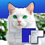 Jigsaw Puzzles Blocks icon