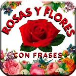 Rosas Rojas Hermosas Flores icon