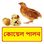 কোয়েল পালন ~ Quail Farming icon