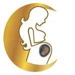 Conceive IVF icon