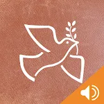Holy Bible (NLT) icon
