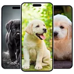 Puppy Wallpaper icon