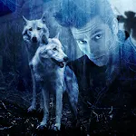 Wild Animals in Photo icon