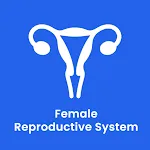 Female Reproductive System icon