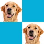 Picture Macth Game -Memory icon