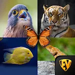 Zoology: Animal Kingdom Study icon