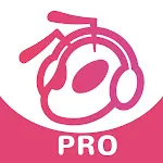 Avoice Pro icon