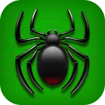 Spider Solitaire icon