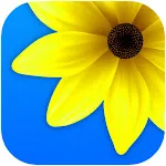 Gallery - Photos icon