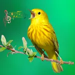 Animal & Bird Sounds Ringtones icon