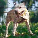Pitbull dogs jigsaw puzzles icon
