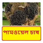 পামওয়েল চাষ ~ Palm oil farming icon