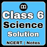 Class 6 Science Notes English icon