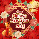 Chinese new year frame 2025 icon