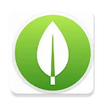 MongoDB Database icon