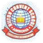 HCS - Hilton Convent School - icon