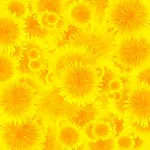 Dandelion Live Wallpaper icon