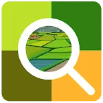 Odisha Paddy Land Survey
