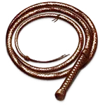 Pocket Whip icon