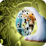 Bacteria - Infections and Type icon