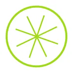 Lime - Bar Inventory icon