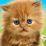 Talking baby cat. Talking game icon