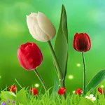 Flowers HD Wallpapers icon