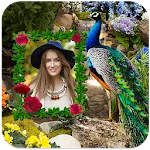 Peacock Photo Frames icon