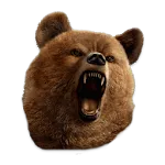 Animal faces in your pictures icon