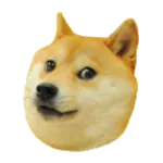Doge 2048 icon