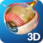 My Eye Anatomy icon