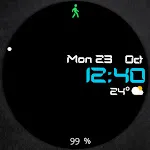 Digital Watch Face CRC080 icon