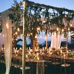 Garden Wedding Decor icon