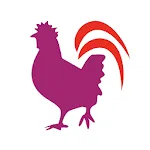 Ideal Chicken icon