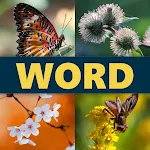 Word 4 Pics icon