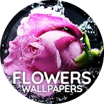 Flowers wallpaper for phone icon